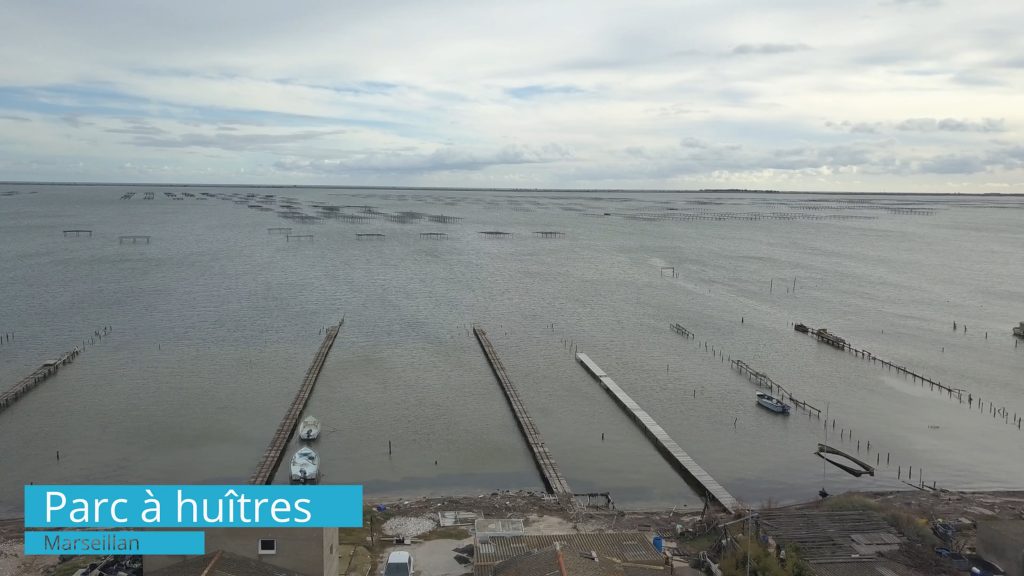 Parc &agrave; huitres, Marseillan -- Drone Linkinfluent