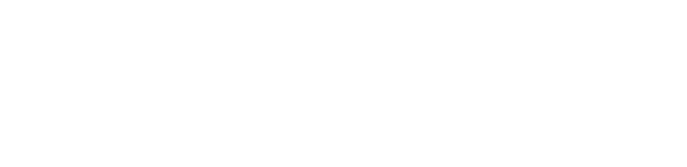White LinkedIn logo