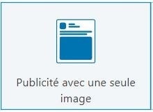 Publicit&eacute; sur une seule image - Un format de Publicit&eacute; LinkedIn Ads